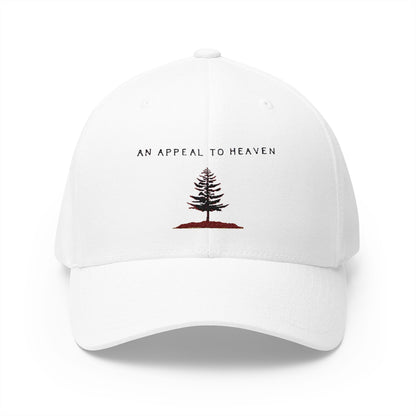 An Appeal to Heaven Flexfit 1