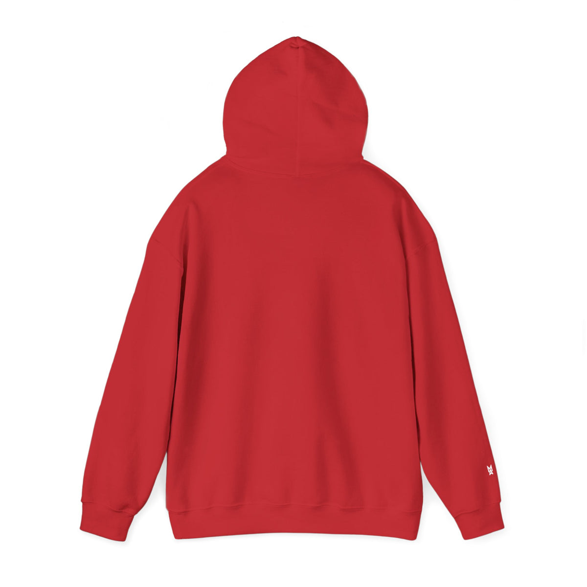 Sorry No Hablo Hoodie