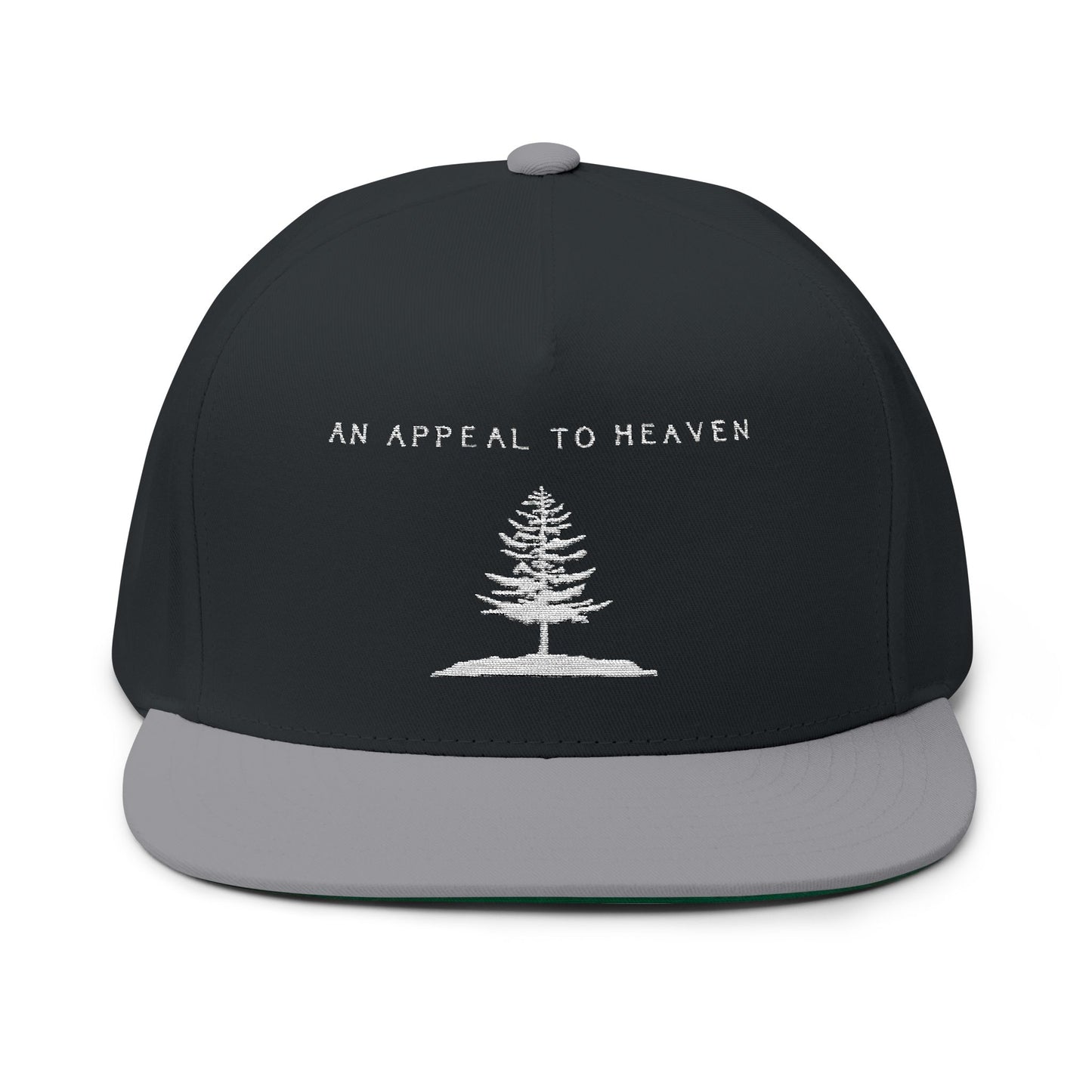 An Appeal To Heaven Flat Bill 2