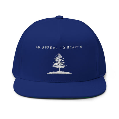 An Appeal To Heaven Flat Bill 2