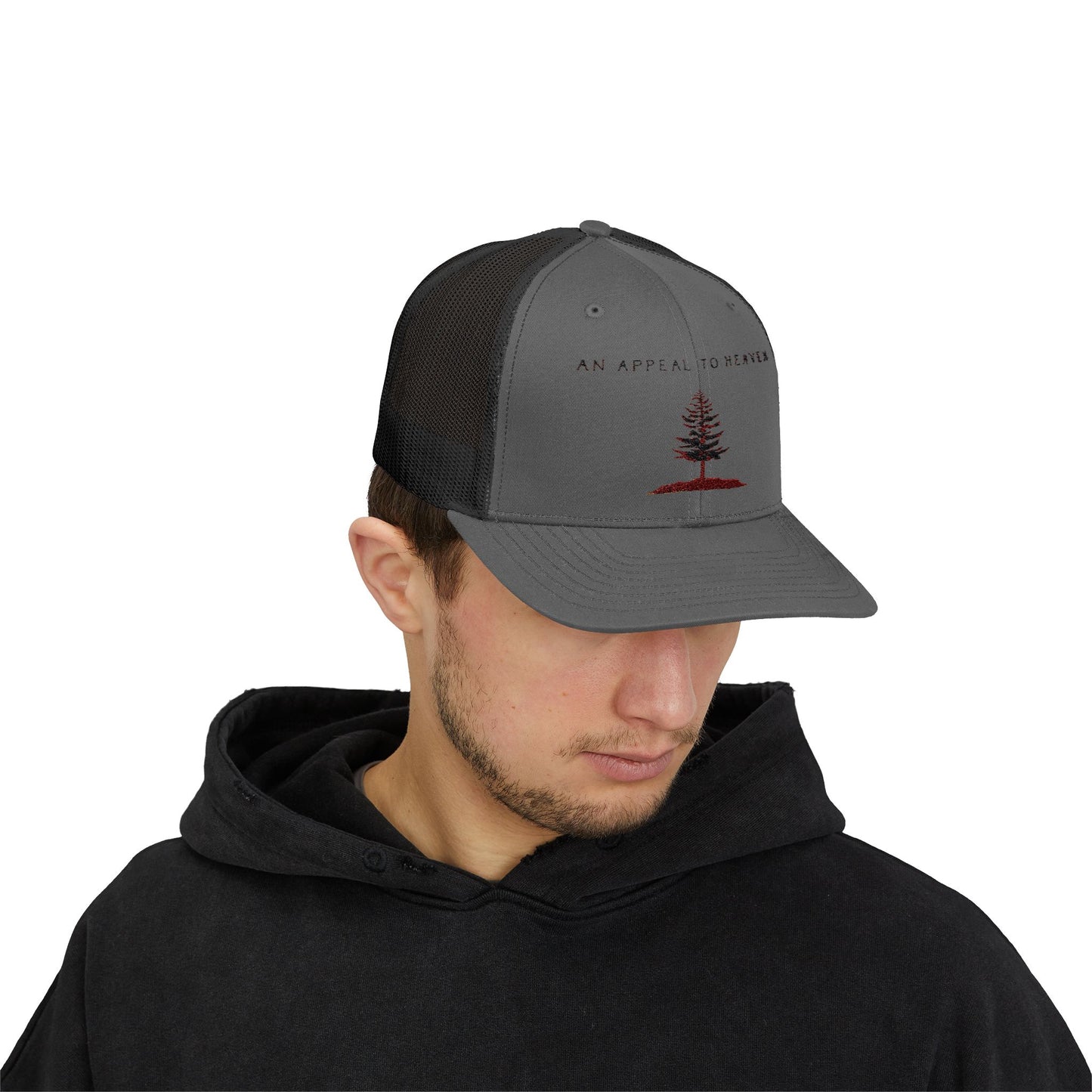 An Appeal To Heaven Snapback 2