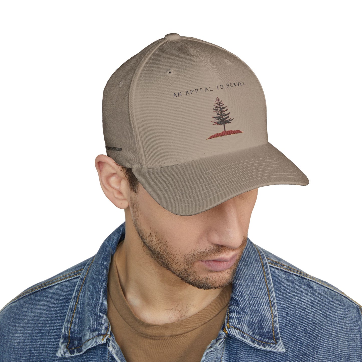 An Appeal to Heaven Flexfit 1