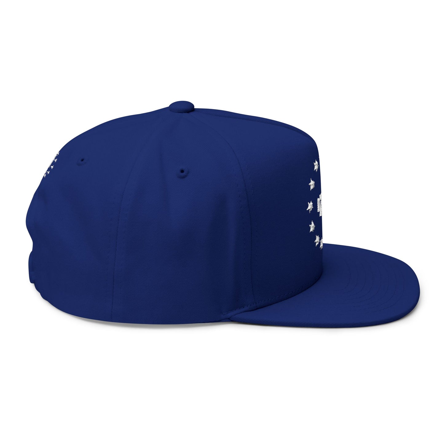 1776 Flat Bill 2