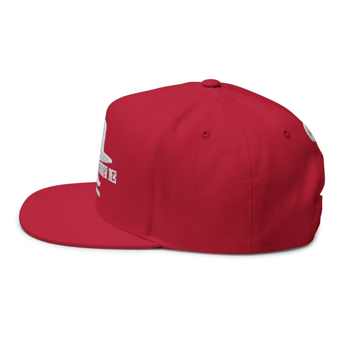 Hell's Coming With Me Flat Bill 2