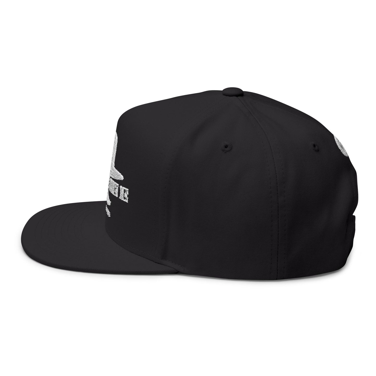 Hell's Coming With Me Flat Bill 2