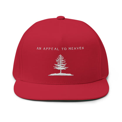 An Appeal To Heaven Flat Bill 2
