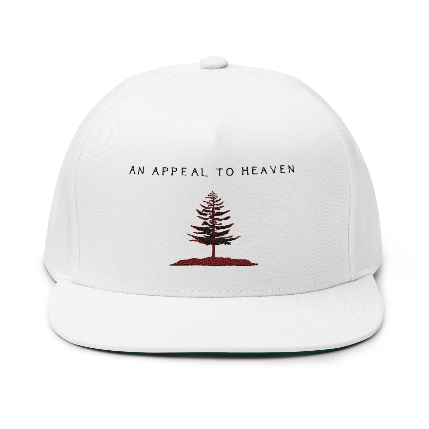 An Appeal To Heaven Flat Bill 1