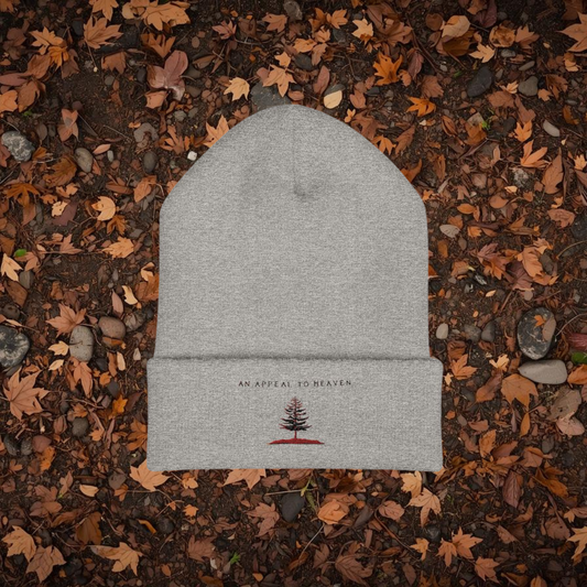 An Appeal To Heaven Beanie 1