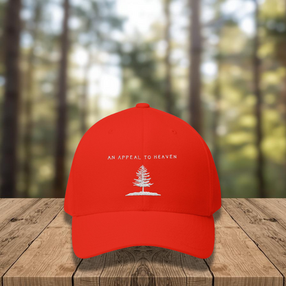 An Appeal To Heaven Hat 2 (Flexfit)