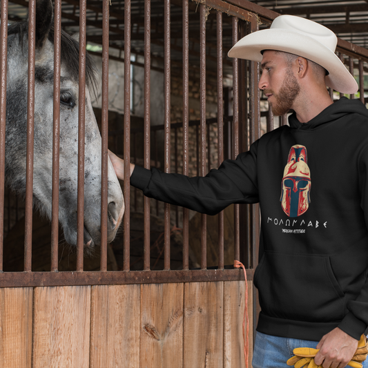 Molon Labe Hoodie