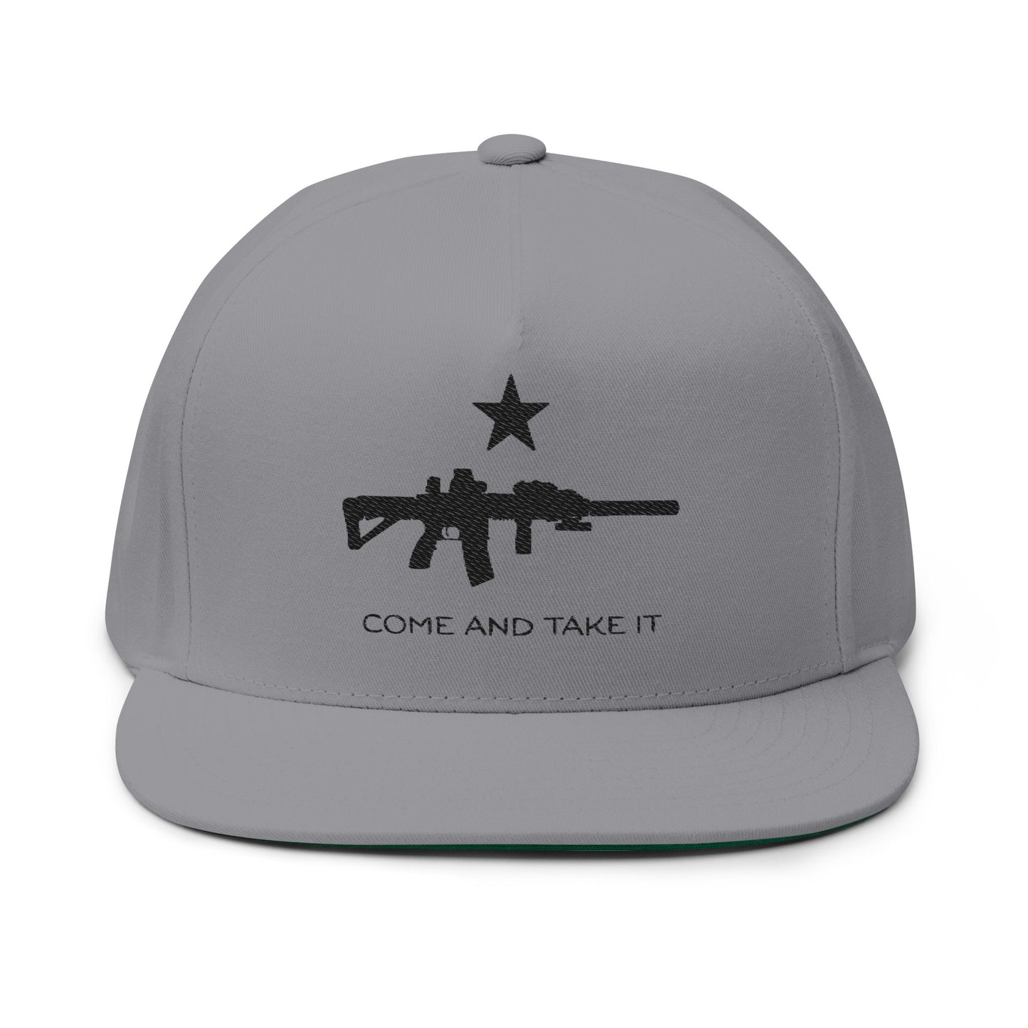 Come And Take It AR Flat Bill 1