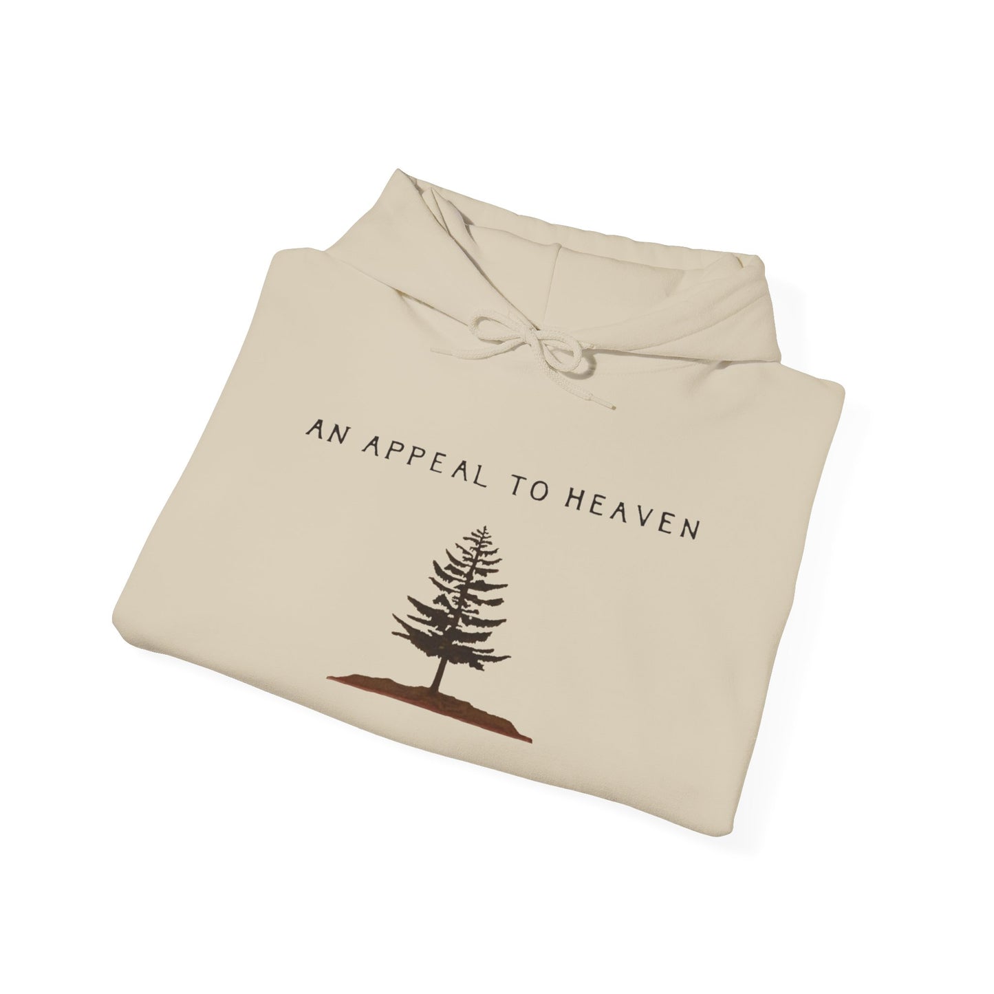 An Appeal To Heaven Hoodie