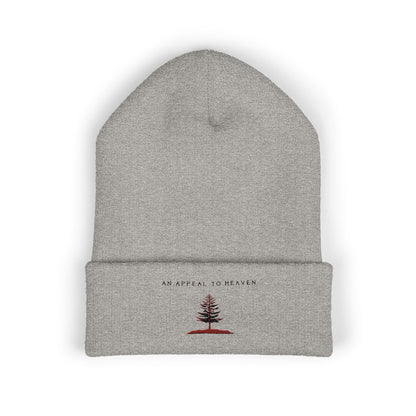 An Appeal To Heaven Beanie 1