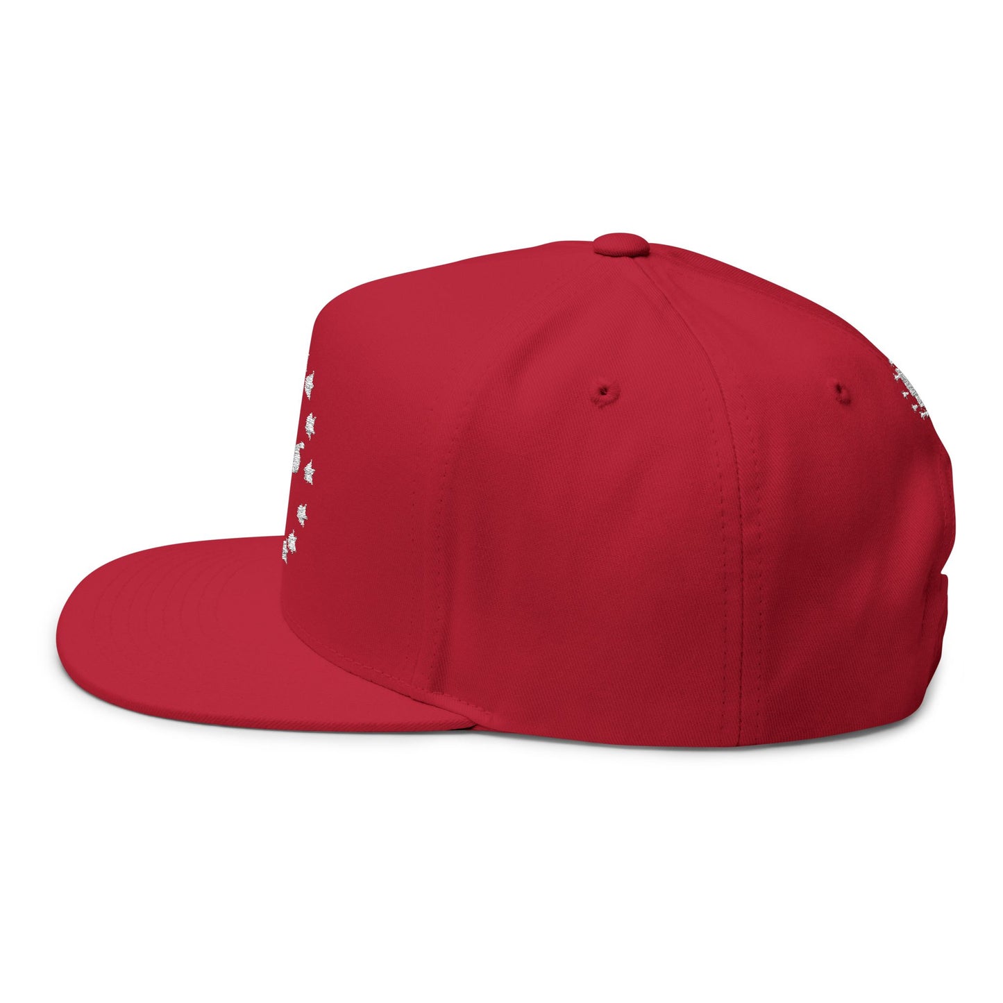 1776 Flat Bill 2