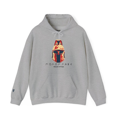 Molon Labe Hoodie