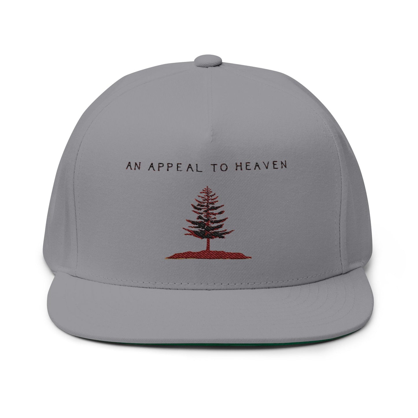 An Appeal To Heaven Flat Bill 1