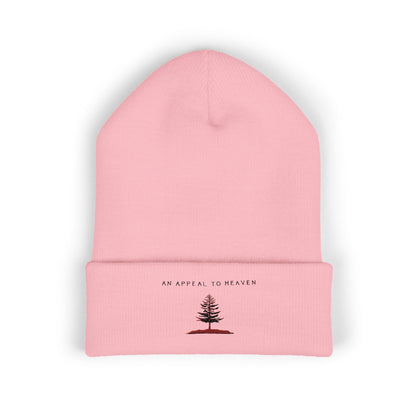 An Appeal To Heaven Beanie 1